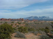 DSCF0007