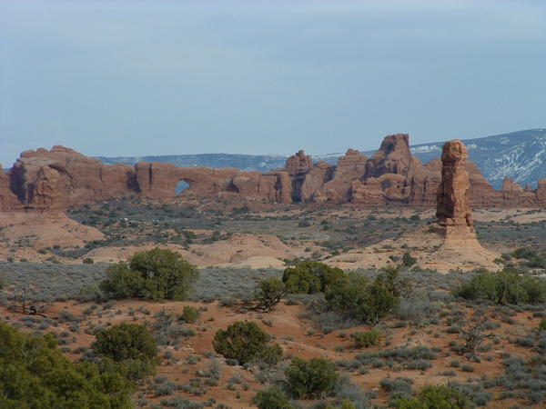 DSCF0008