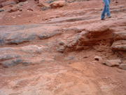 DSCF0014