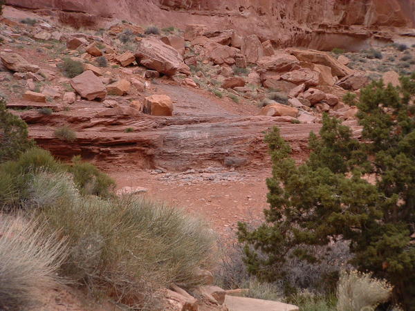 DSCF0053 Rock Pile