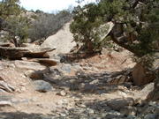DSCF0014