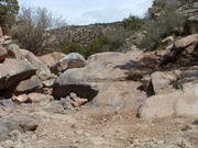 DSCF0026