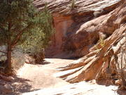 DSCF0018