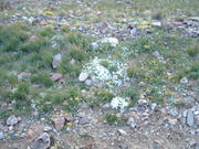 DSCF0041