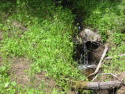 116-1623_IMG