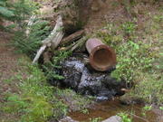 116-1624_IMG