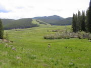 116-1627_IMG
