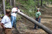 This tree is a bit large to drive over today, time for some trail maintenance