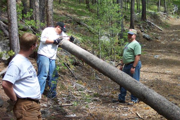 This tree is a bit large to drive over today, time for some trail maintenance