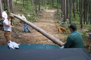 Gary applies some downward pressure to the tree