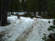 DSCF0006