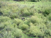 DSCF0006