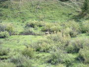 DSCF0008