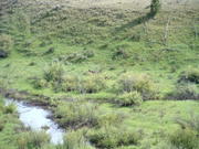 DSCF0009